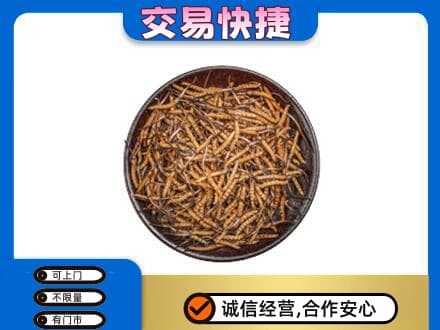 江门江海区回收散虫草
